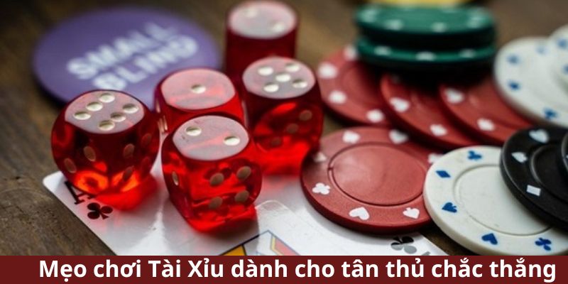 Mẹo Chơi Tài Xỉu Luôn Thắng Từ Các Cao Thủ